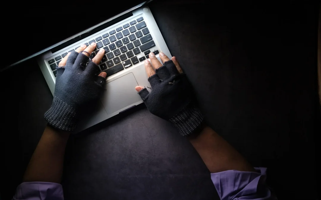 Kritiek lek in WordPress